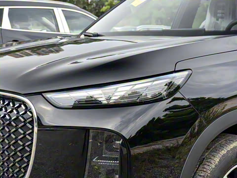 2025�� 290TGDI DCT����� 7��