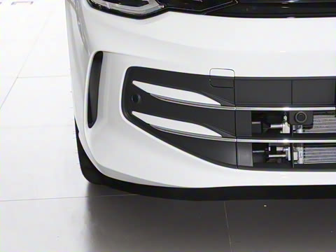 2025�� �Ŀ� 300TSI Pro