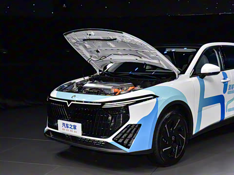 2024�� ������