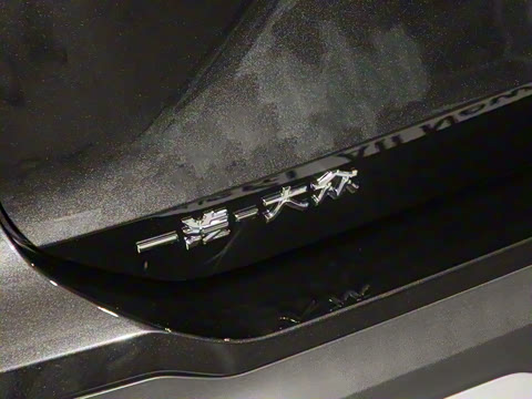 2025�� ̽��L 300TSI ������Ӣ