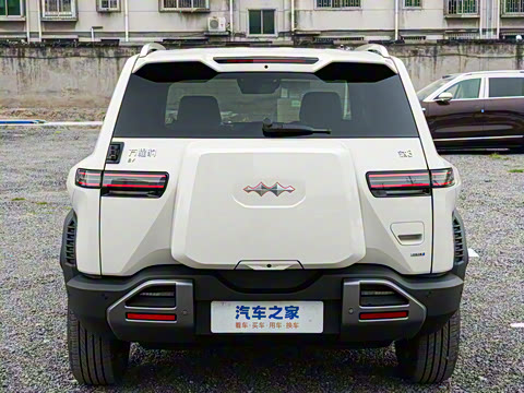 2025�� 501KM ����Max��