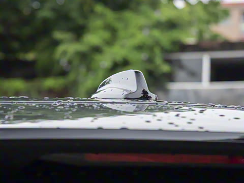 2025�� �Ŀ� B6 ��Զ������ 6��