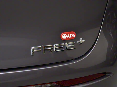 2025�� FREE+ ����Ǭ����