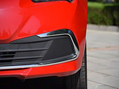 2019�� ���ʰ�