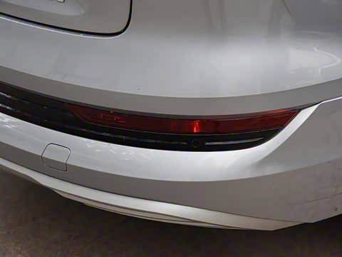 2019�� 55 quattro ������