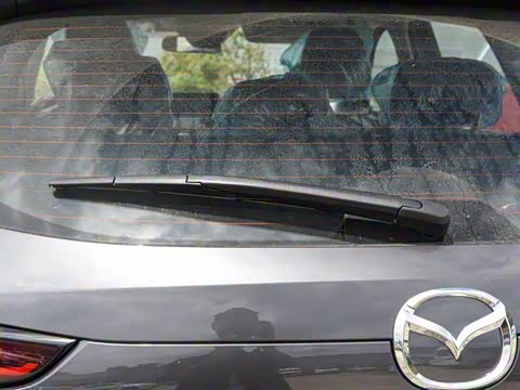 2025�� 2.0L �Զ���������Pro