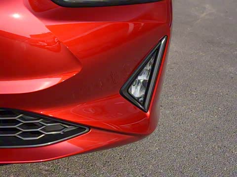 2019�� ����