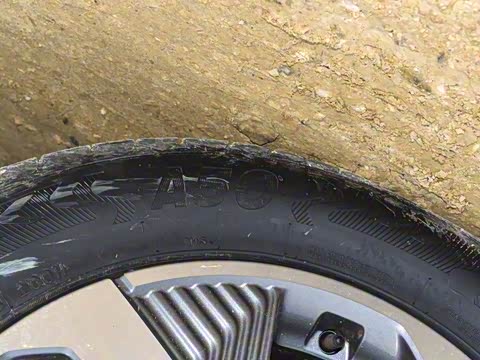 2025�� 1.5T DCT �ݺ�+�´������