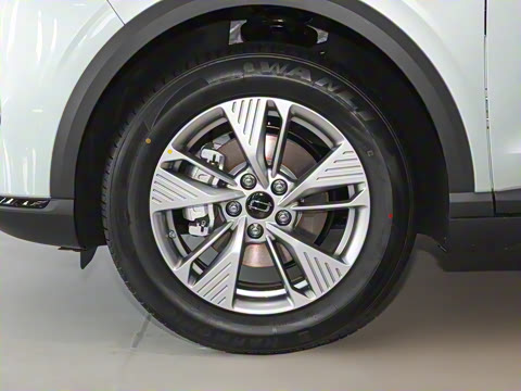 2025�� 565km ������