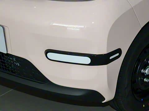 2025�� 205km ʥ����