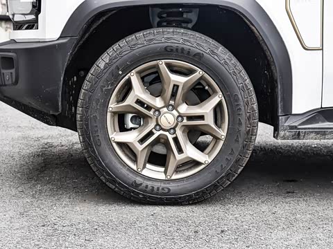 2025�� 2.0TD XWD �Զ�����