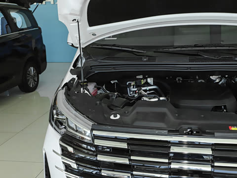 2025�� MAX 2.0T �Զ������� ���� 7��