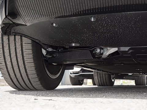 2025�� Max ���������