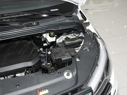 2025�� �Ŀ� MAX 2.0T �Զ������� ���� 7��