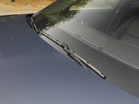 2024�� Dynamic SE