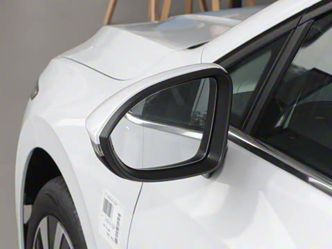 2025�� �Ŀ� 300TSI Pro