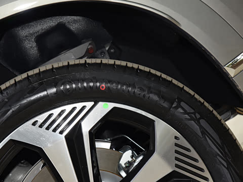 2023�� ��������������