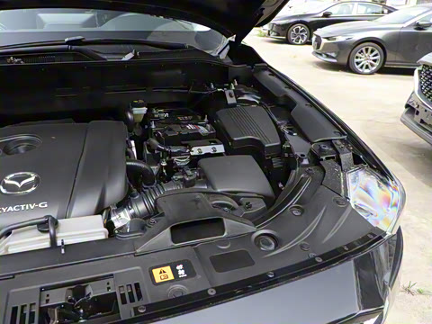 2024�� 2.0L �Զ�����������