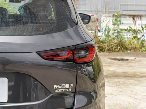 2025�� 2.0L �Զ���������Pro