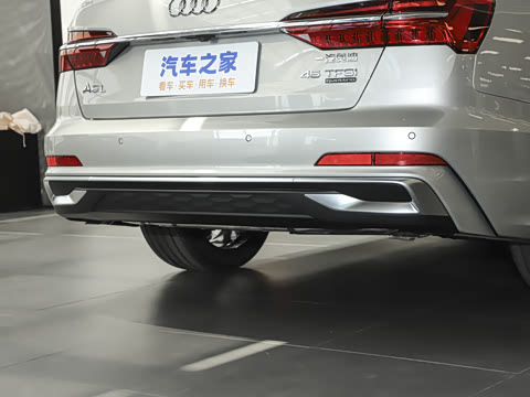 2025�� �Ŀ� 45 TFSI quattro ��ѡ������