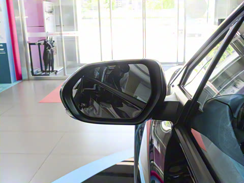 2021�� 2.0L ������