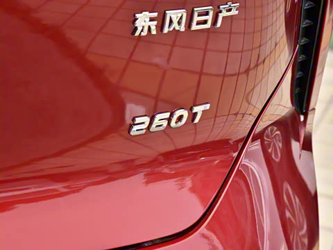 2023�� 260T ������ Pro