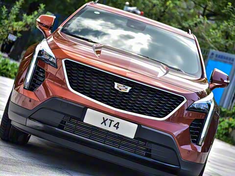 2018�� 28T ���������˶���