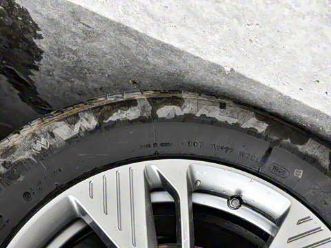 2025�� 445km ��ѡ��