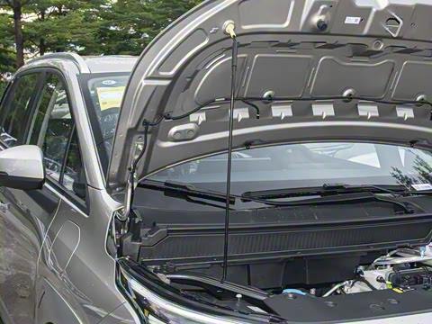 2025�� Plus 510 �Ǻ���