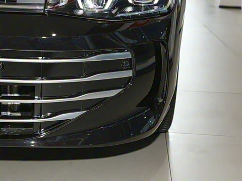 2025�� Pro 300TSI ��ҫ��