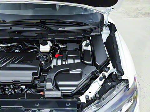 2025�� ���� 2.0L �������Ȱ�