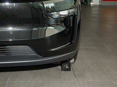 2025�� ����������