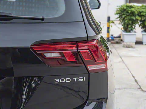 2024�� 300TSI �Զ�����������