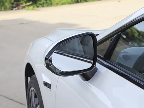 2025�� ���� 550Pro�캽��