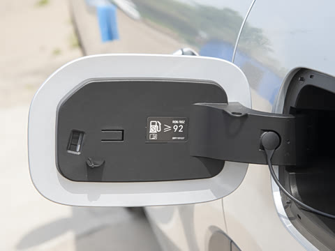 2025�� 55km ������