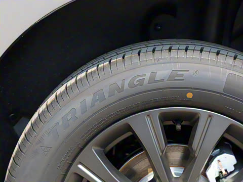 2025�� 520���а�