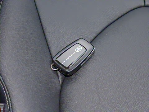 2023�� 2.5L���ܵ��˫���������� 7��