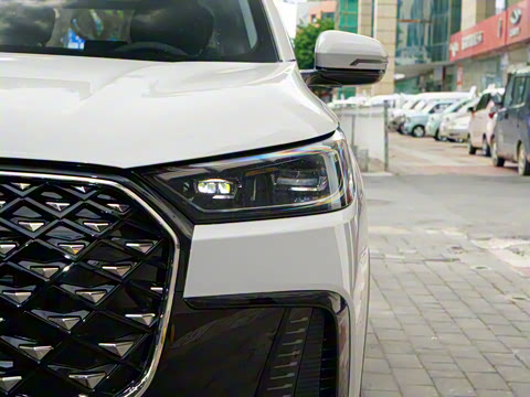 2025�� 290TGDI DCT�˷�� 