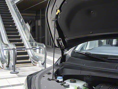 2025�� Ǭ��ϵ�� Ultra ͷ�Ȳ�