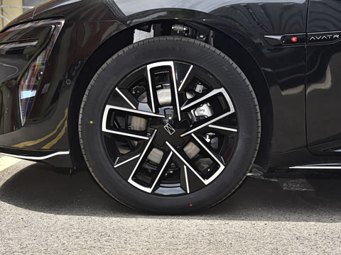 2025�� Pro�����