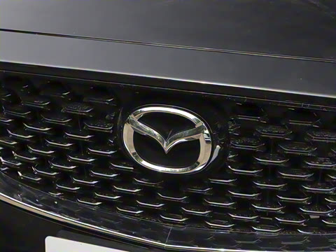 2024�� 2.0L �Զ�����������