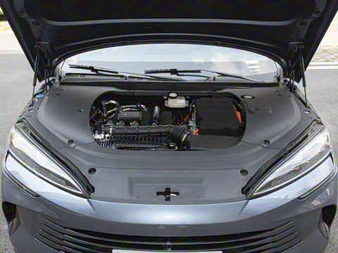 2025�� �Ǽݰ� DM-i 1.5L 125km ��Ӣ��