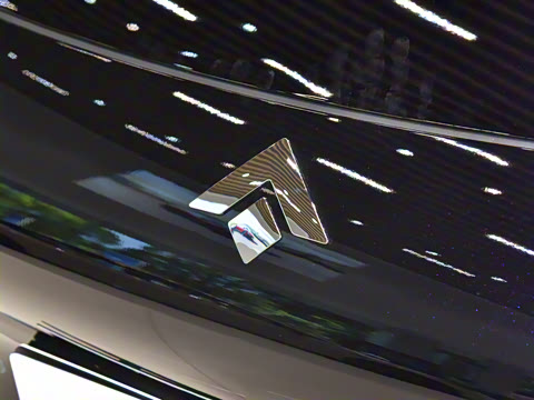 2025�� 825 Max��