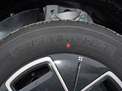 2025�� 330�ǻ԰�