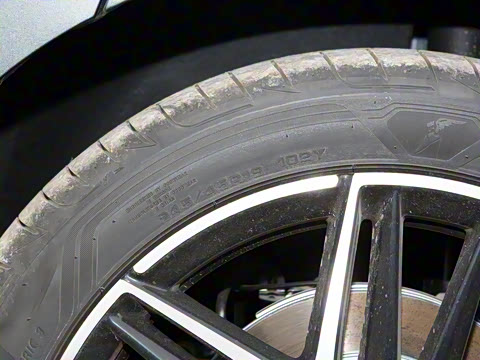 2025�� EV ���������״��콢��