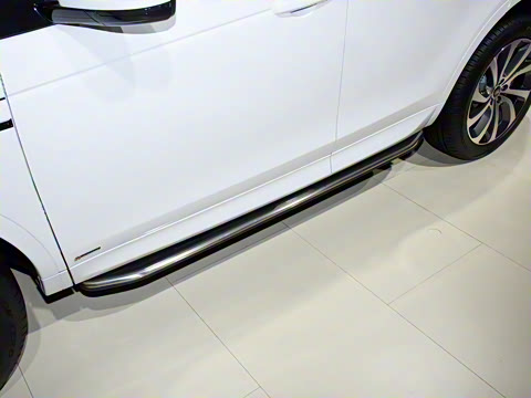 2022�� P300e ���ܿƼ���