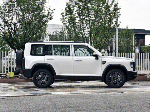 2025�� 2.0T 4WD Pro