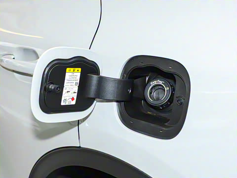 2024�� EcoBoost 245 ����������