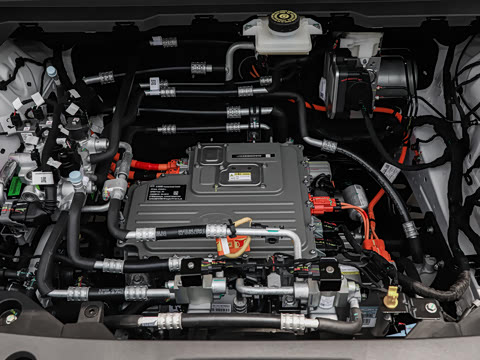 2025�� 520�ǻݰ�