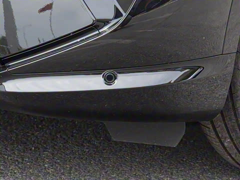 2025�� Max ���������